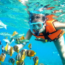 BestSnorkelingSpotCancunReef